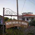 kirmizi-balik-pansiyon-resimleri-1