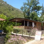 alaturca-pansiyon-4