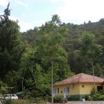 kemer-pansiyonlar-2
