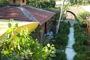 sima-peace-pansiyon-6