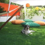 The-cozy -dalyan-4