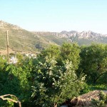 sogut-dogan-pansiyon-3