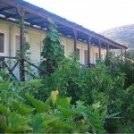 altun-pansiyon-resimleri-1