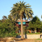 Ada-pansiyon-7