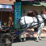 Ada-pansiyon-9