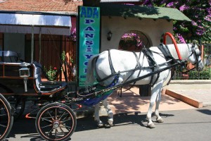 Ada-pansiyon-9