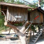 Olimpos-agac-evleri-2
