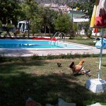 kusadasi-pansiyon-3