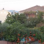hello-pansiyon-resimleri-1