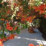 hello-pansiyon-resimleri-2