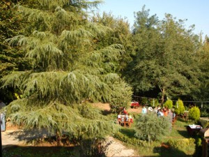 hera-pansiyon-resimleri-6