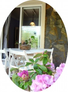 sapanca-villa-pansiyon-resimleri-3