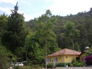 kemer-pansiyonlar-2