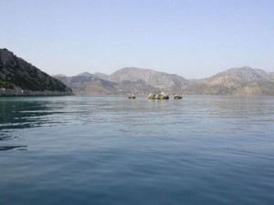 marmaris-sogut-pansiyon-2