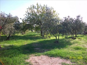 abant-aile-pansiyonu-resimleri-1