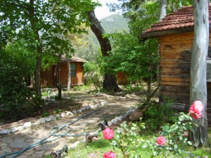 muhtas-4