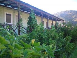 altun-pansiyon-resimleri-1