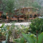 Olimpos-agac-evleri