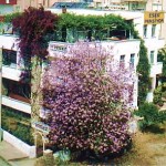 anamur-pansiyon-1